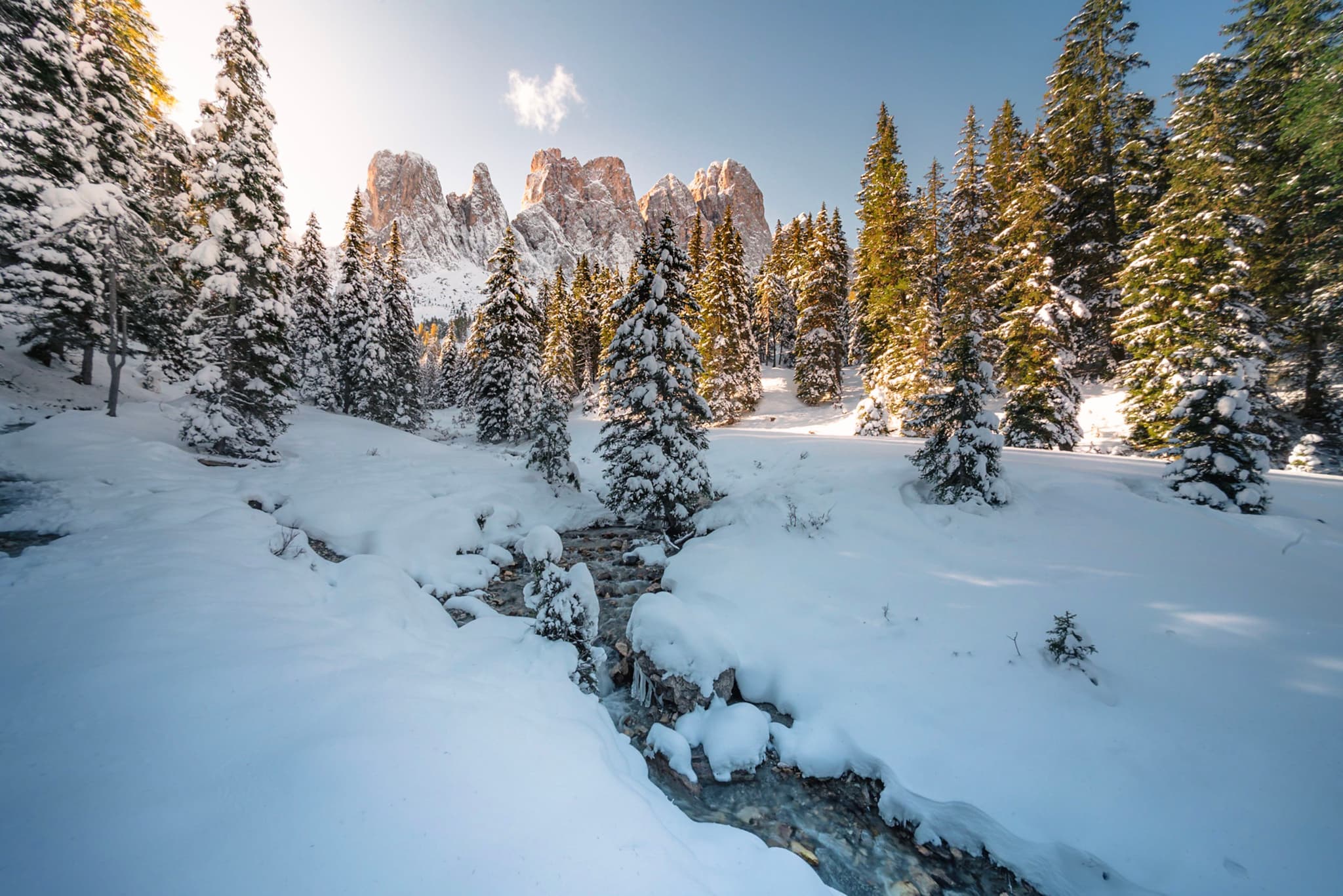 Snow-covered evergreen forest with a narrow stream winding toward sunlit mountain peaks under a clear blue sky