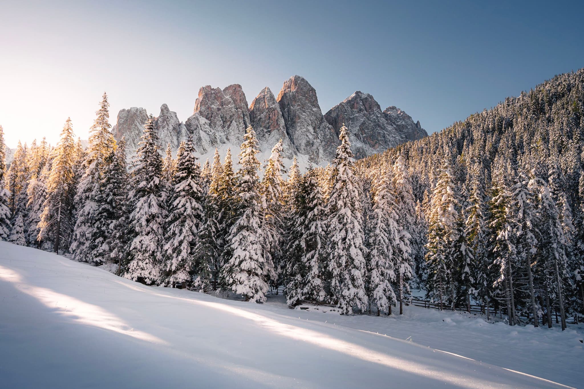 Snow-covered evergreen forest on a mountain slope at sunrise with jagged peaks in the background