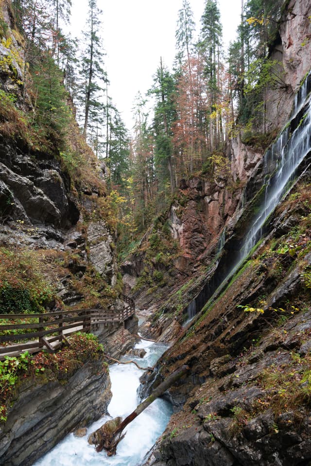 Narrow rocky gorge with a fast-flowing stream, wooden walkway, and tall trees rising along the cliff walls