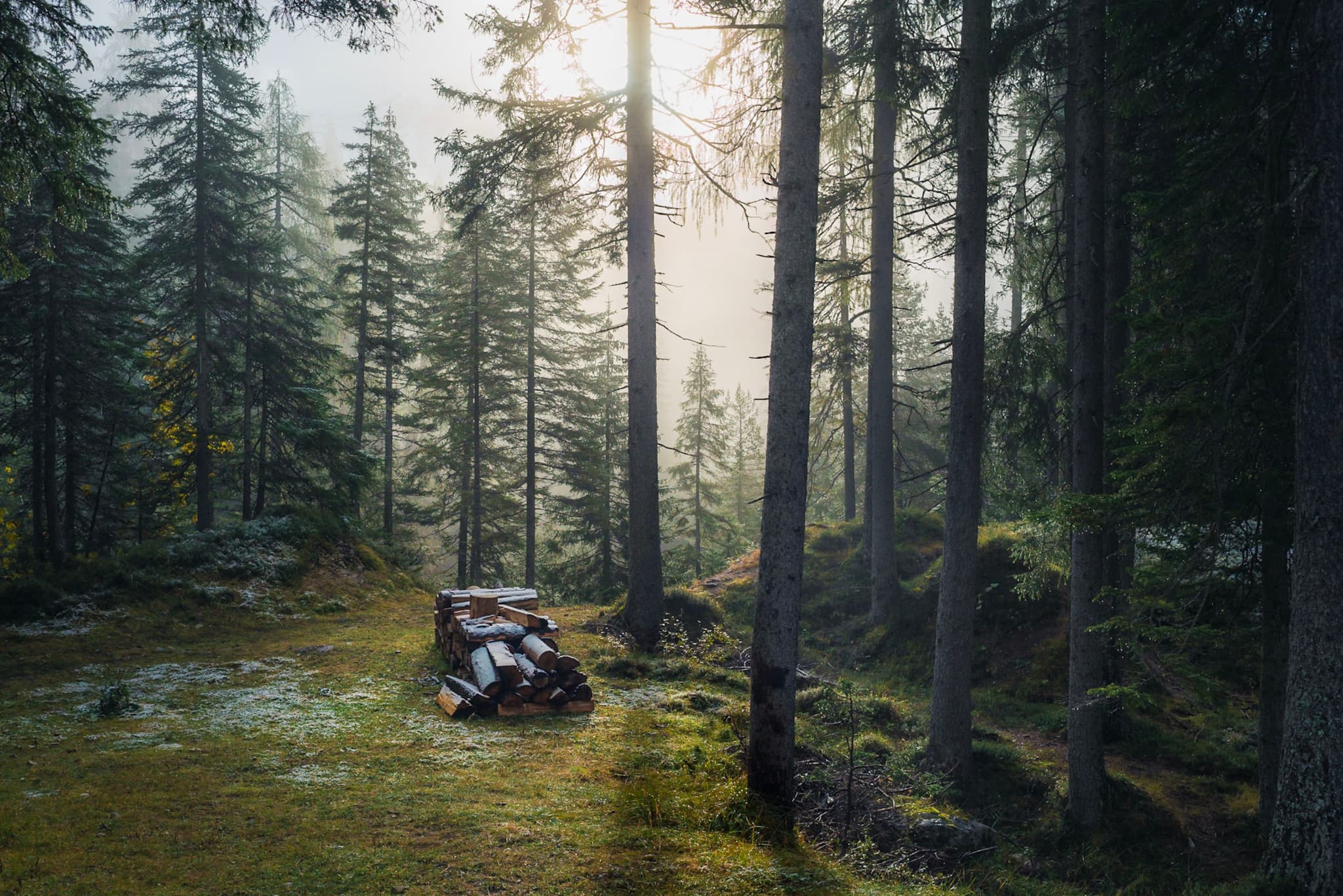 Old car parked in a sunlit clearing surrounded by tall evergreen trees and mossy rocks