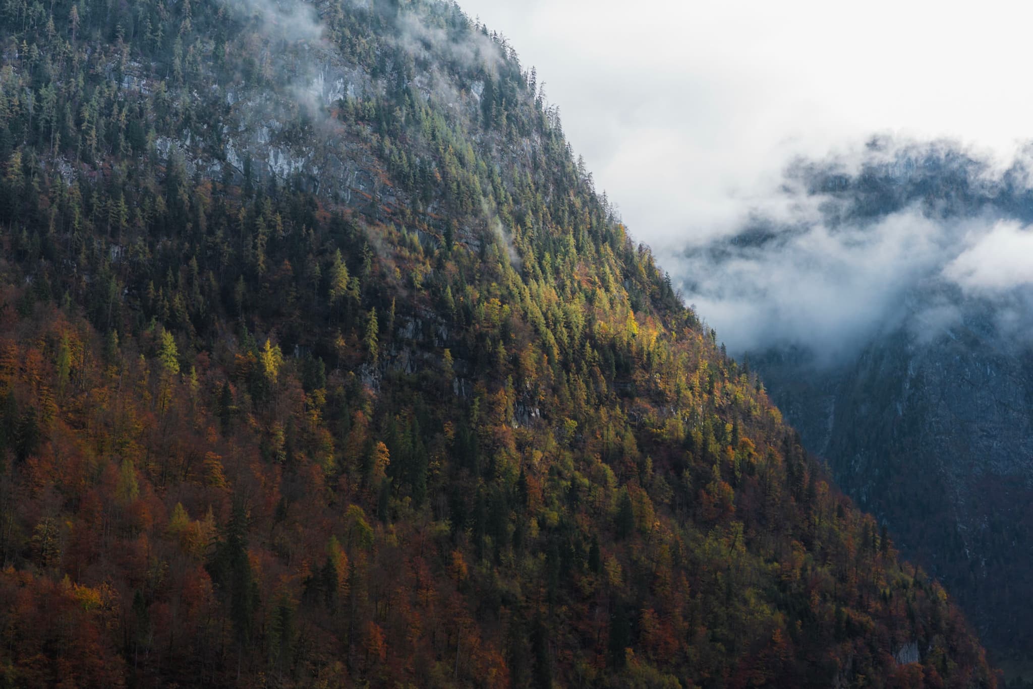 Steep forested mountain slope covered in autumn foliage with low clouds and mist drifting through the valley