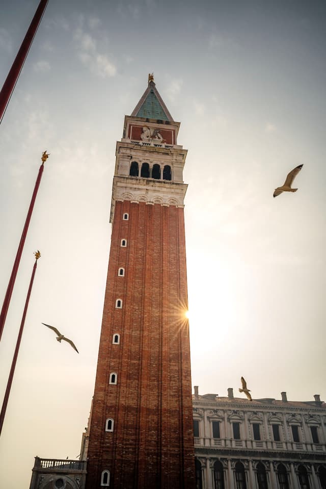 A tall, red-brick bell tower with a green spire, surrounded by flying seagulls, against a bright sky