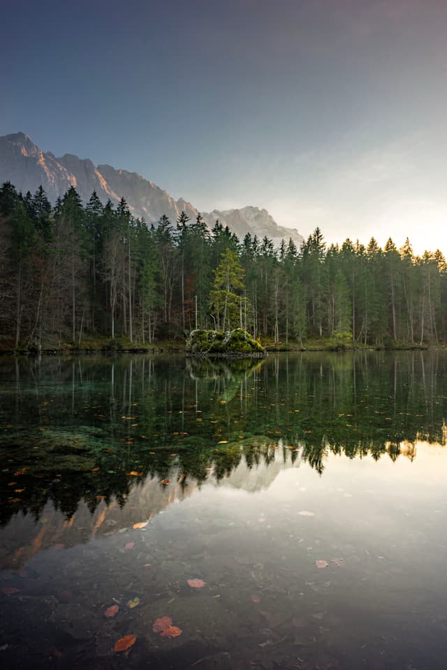 A serene lake reflects a dense forest and distant mountains under a clear sky, with a small island featuring a single tree in the center