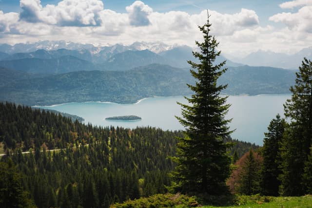 Evergreen-covered slopes descending toward a blue alpine lake with a small island, backed by hazy distant mountains under a partly cloudy sky