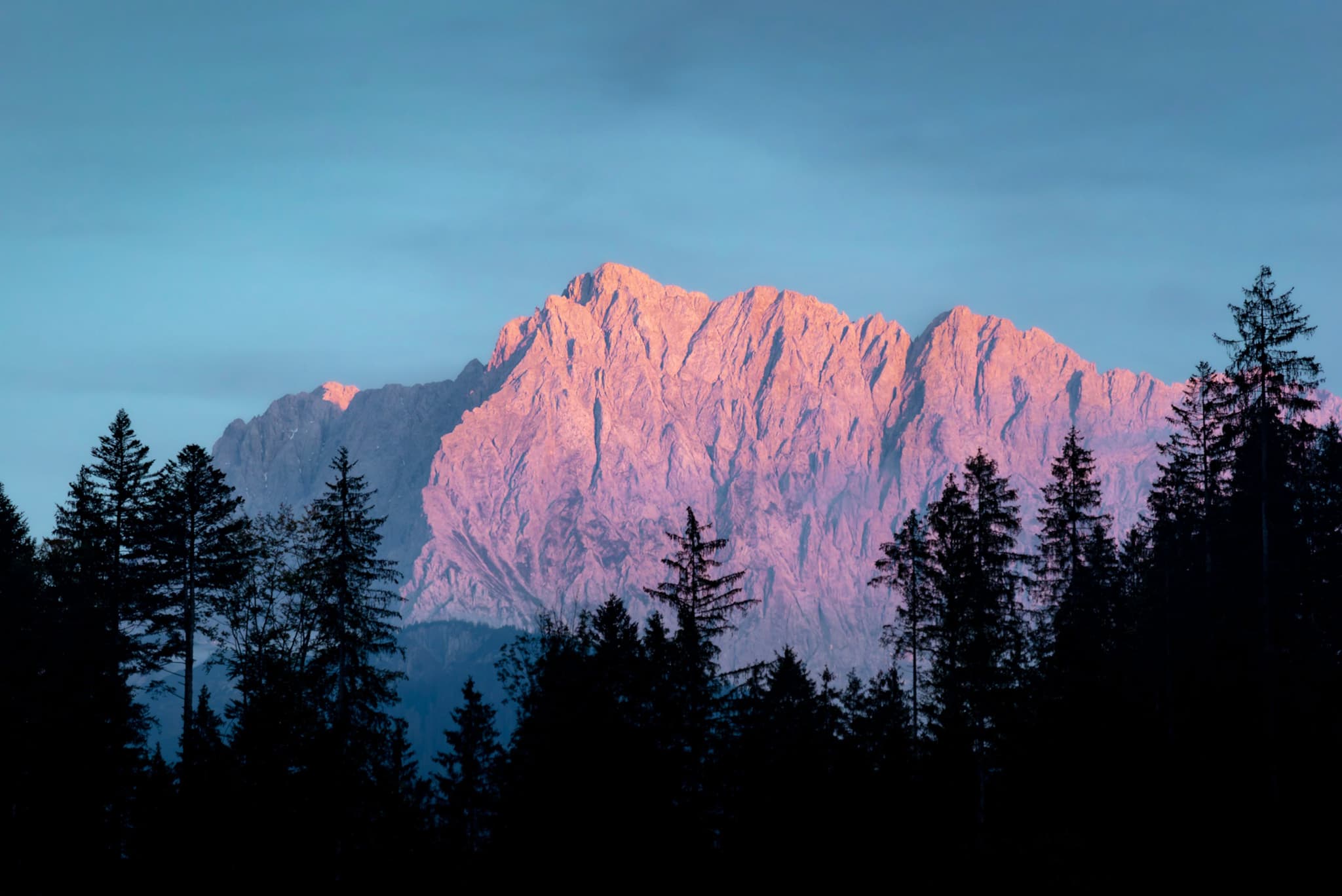 A mountain range bathed in pink light during sunset, with a silhouette of trees in the foreground