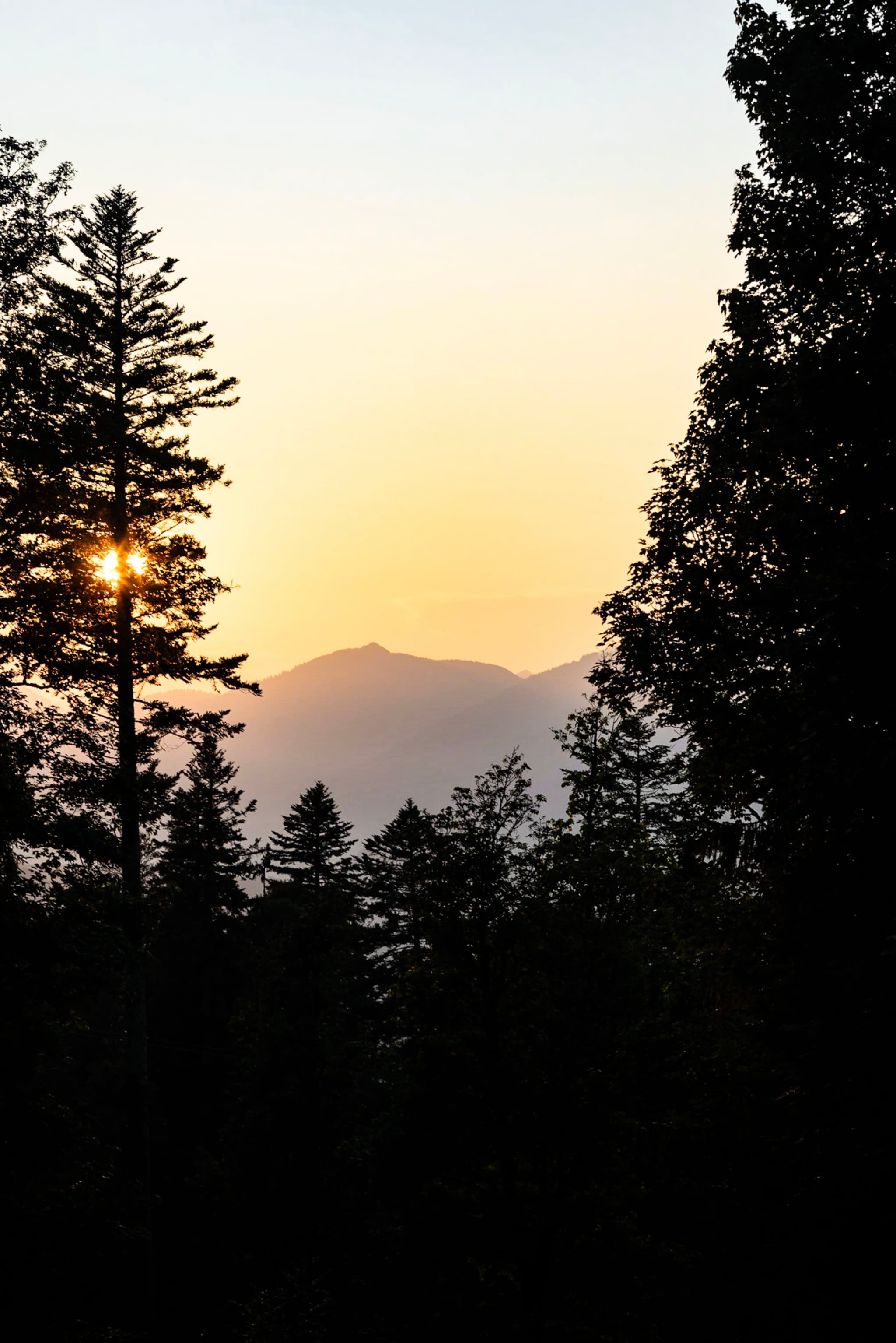 A serene landscape with a sunset behind a mountain, framed by silhouettes of tall trees