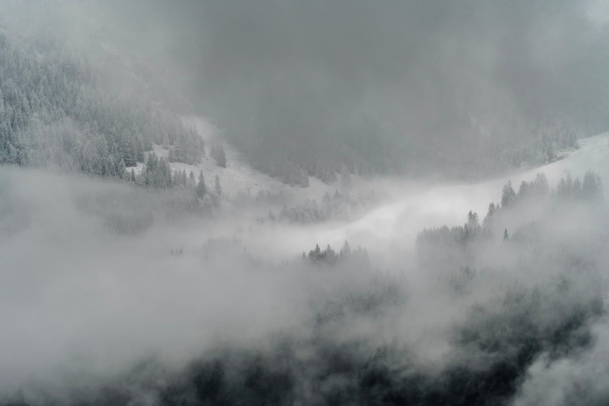 Snow-covered mountain slopes and evergreen trees partially obscured by thick, drifting fog in a moody, overcast scene