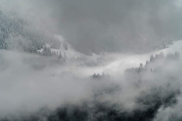 Snow-covered mountain slopes and evergreen trees partially obscured by thick, drifting fog in a moody, overcast scene