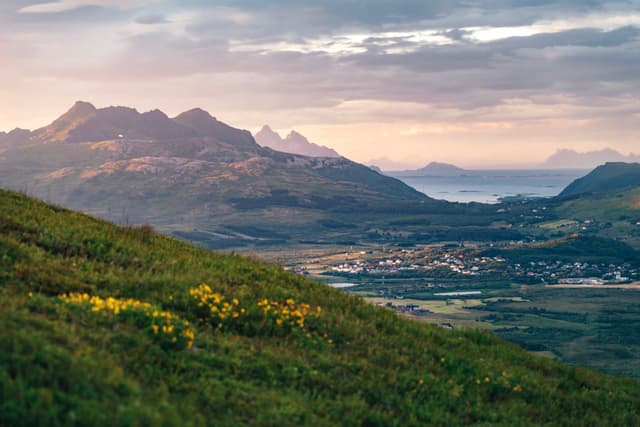 A scenic landscape with rolling green hills, yellow wildflowers, a distant village, and mountains under a cloudy sky