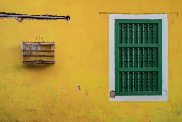 A vibrant yellow wall with a green window framed in white and a small wooden birdcage hanging nearby