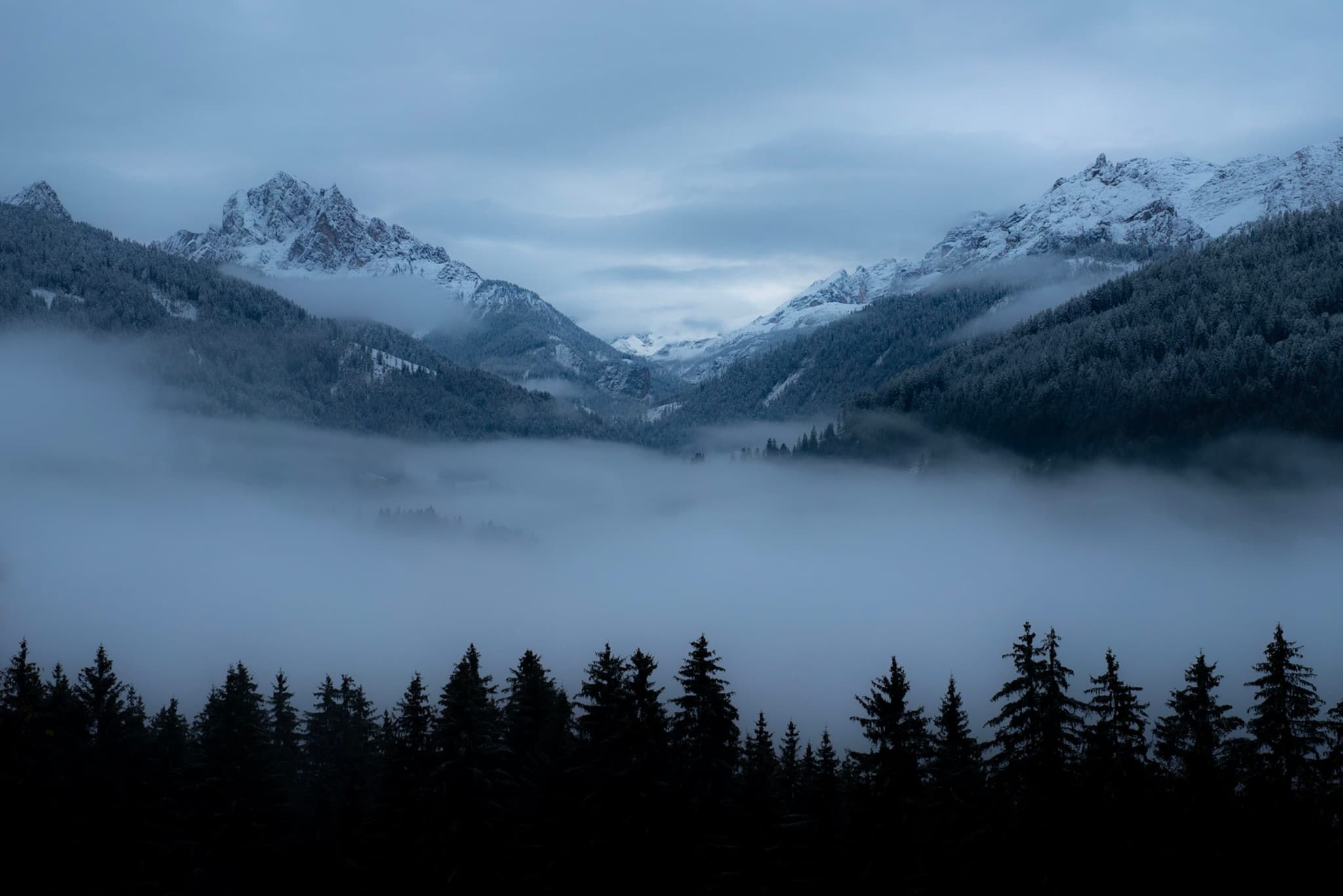 Snow-dusted mountain range rising above a fog-filled valley with a dark conifer forest in the foreground under an overcast sky