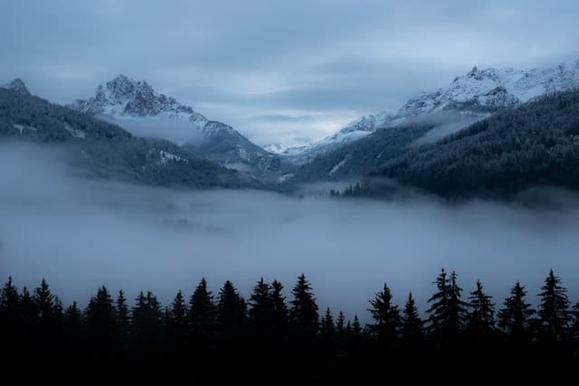 Snow-dusted mountain range rising above a fog-filled valley with a dark conifer forest in the foreground under an overcast sky