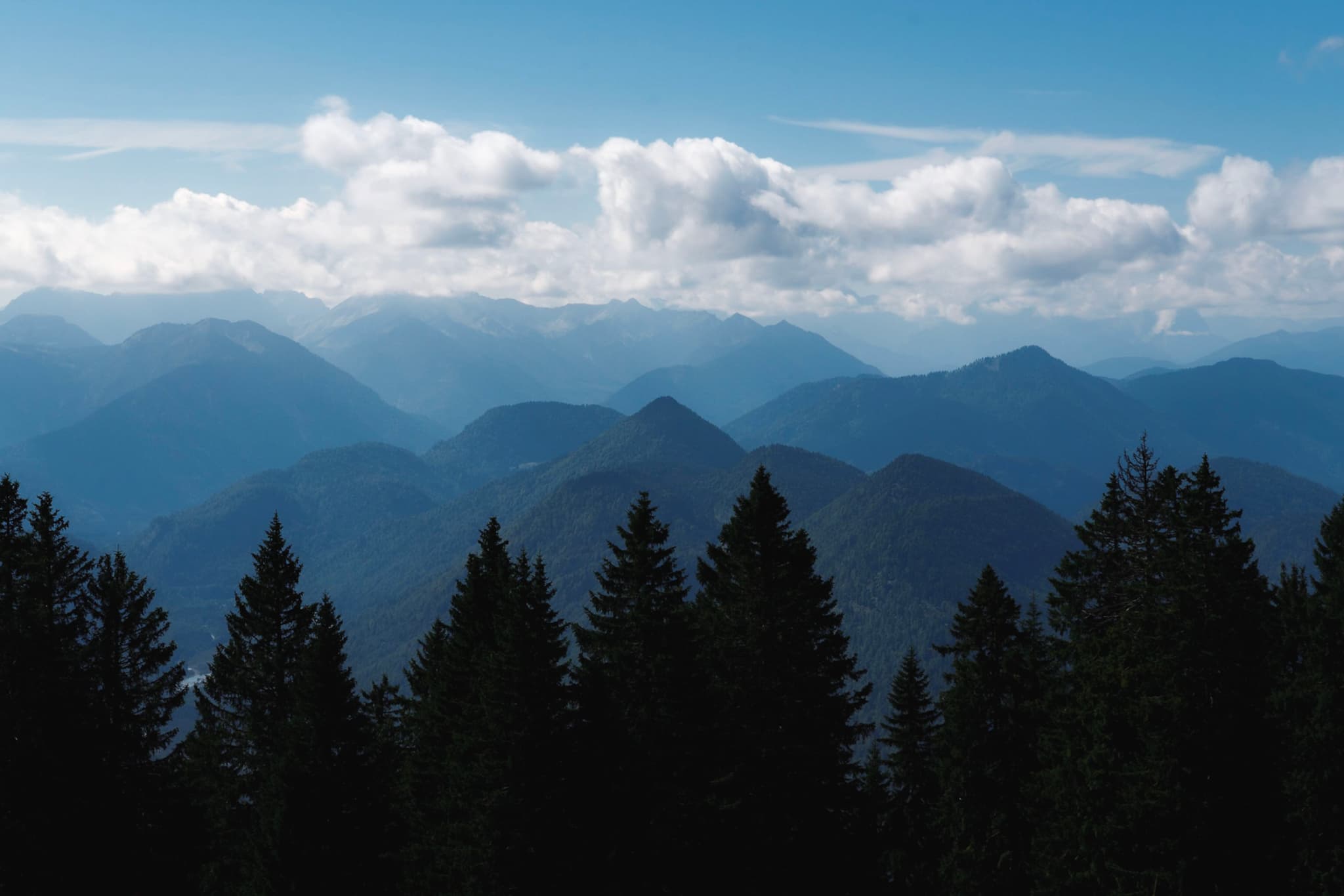 Layered blue mountain ridges fading into the distance behind a dark evergreen forest under a partly cloudy sky