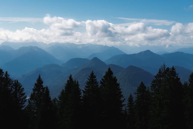 Layered blue mountain ridges fading into the distance behind a dark evergreen forest under a partly cloudy sky