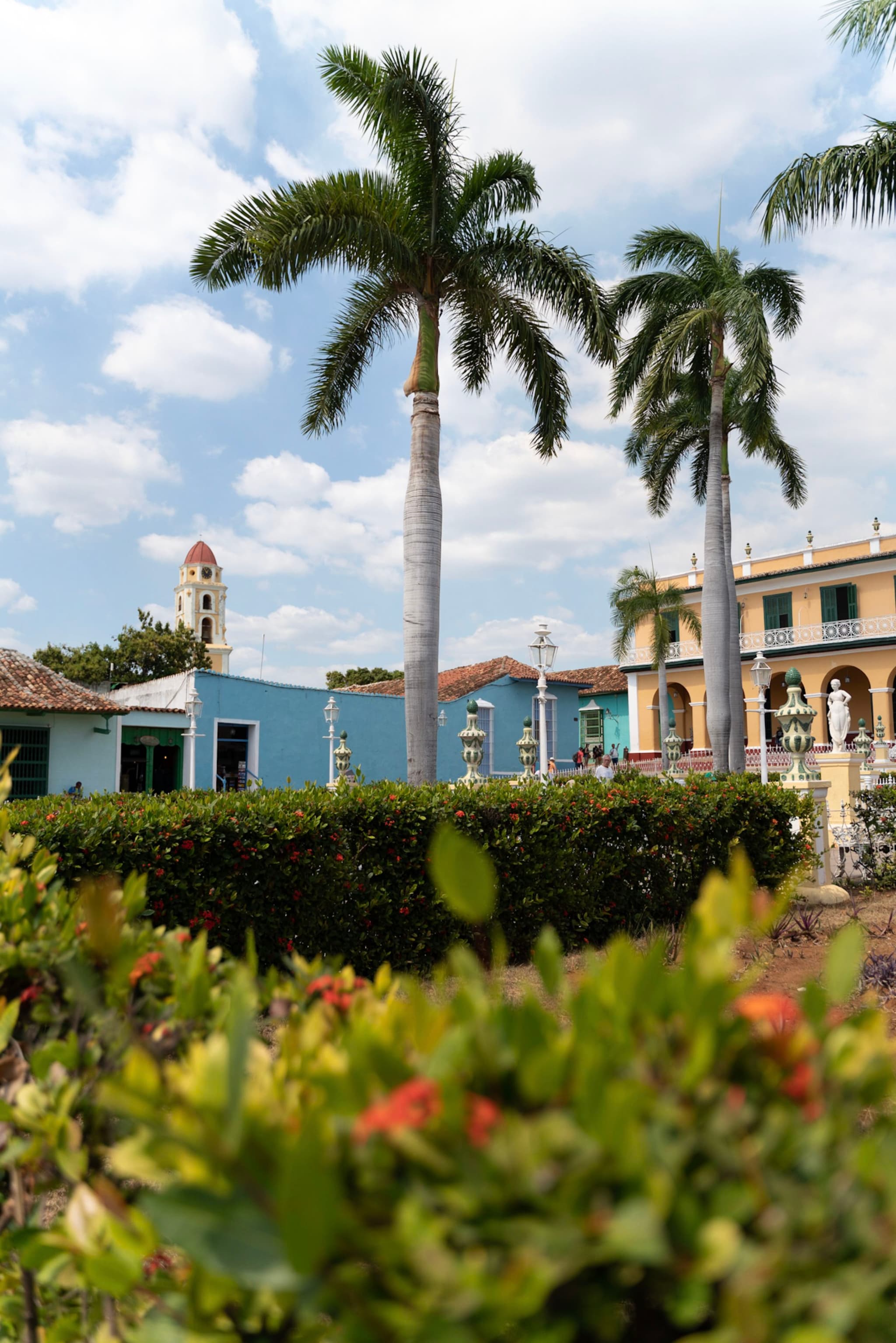 Colorful colonial courtyard with palm trees rising above hedges and flowering plants under a partly cloudy sky