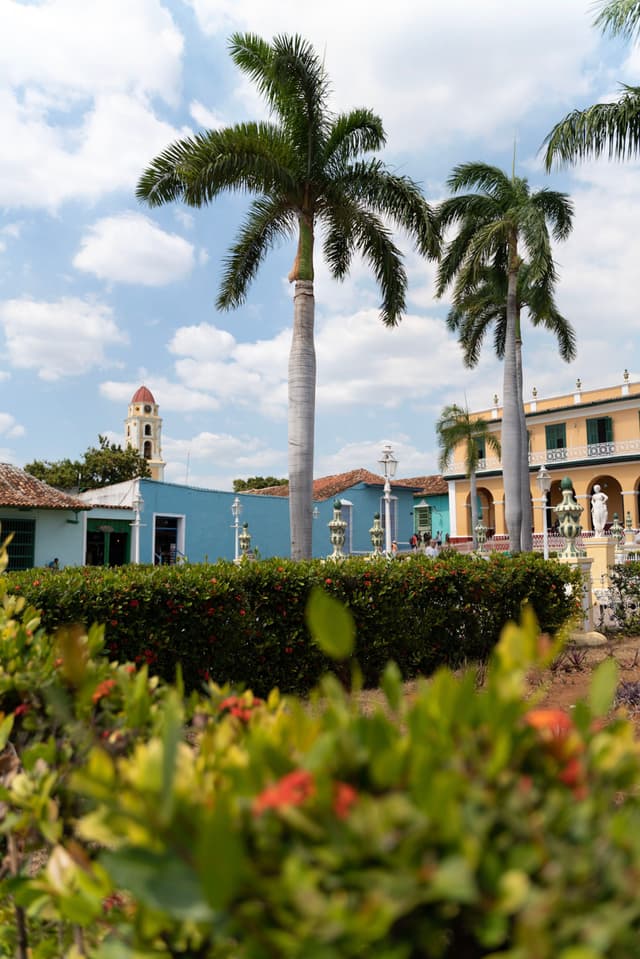 Colorful colonial courtyard with palm trees rising above hedges and flowering plants under a partly cloudy sky