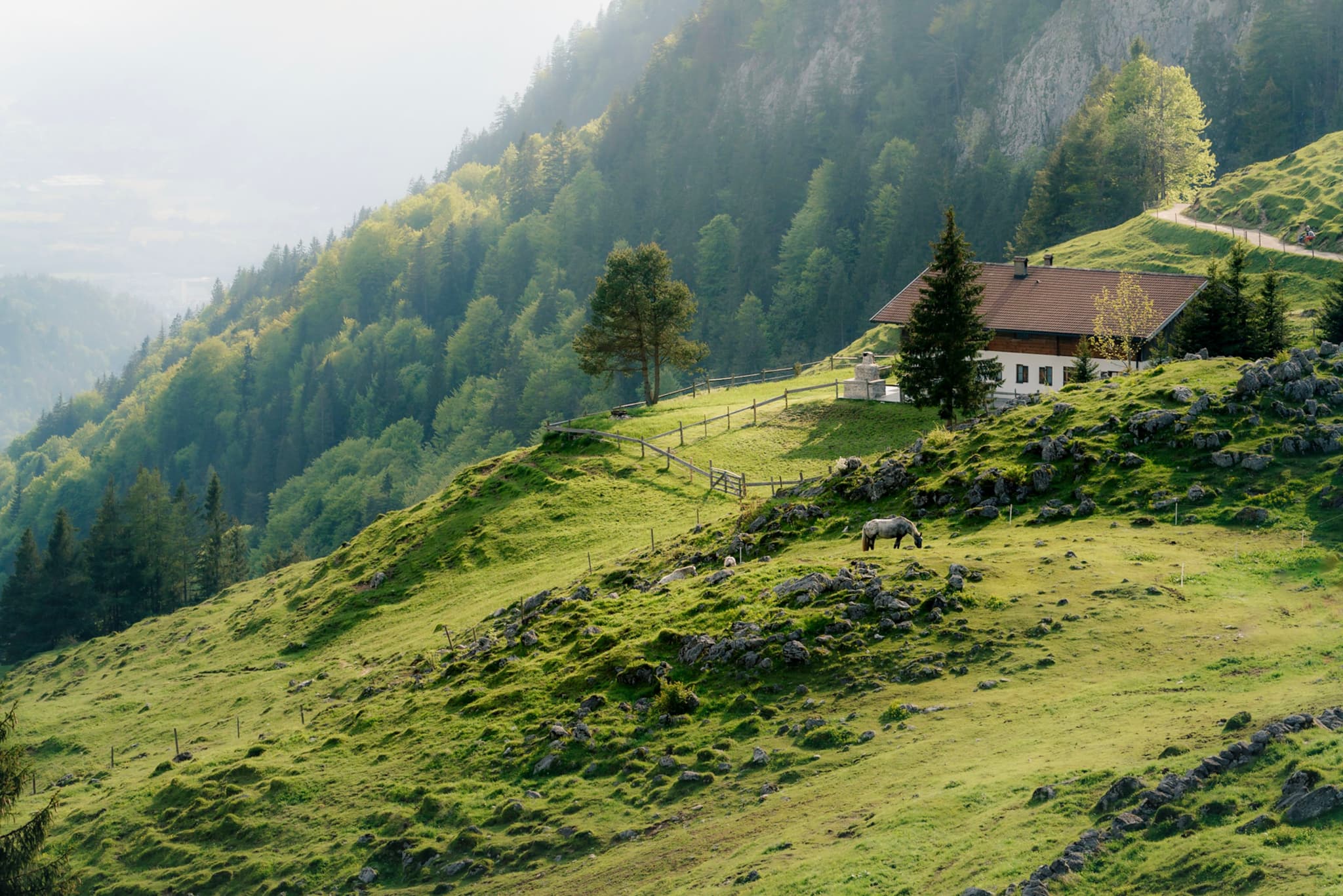 Remote house on a grassy hillside surrounded by forested mountains in soft morning light