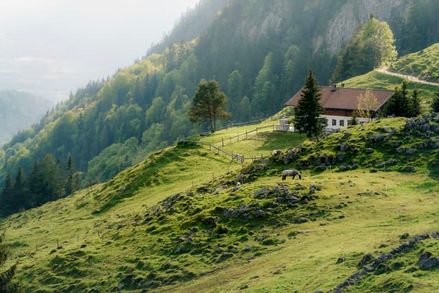 Remote house on a grassy hillside surrounded by forested mountains in soft morning light