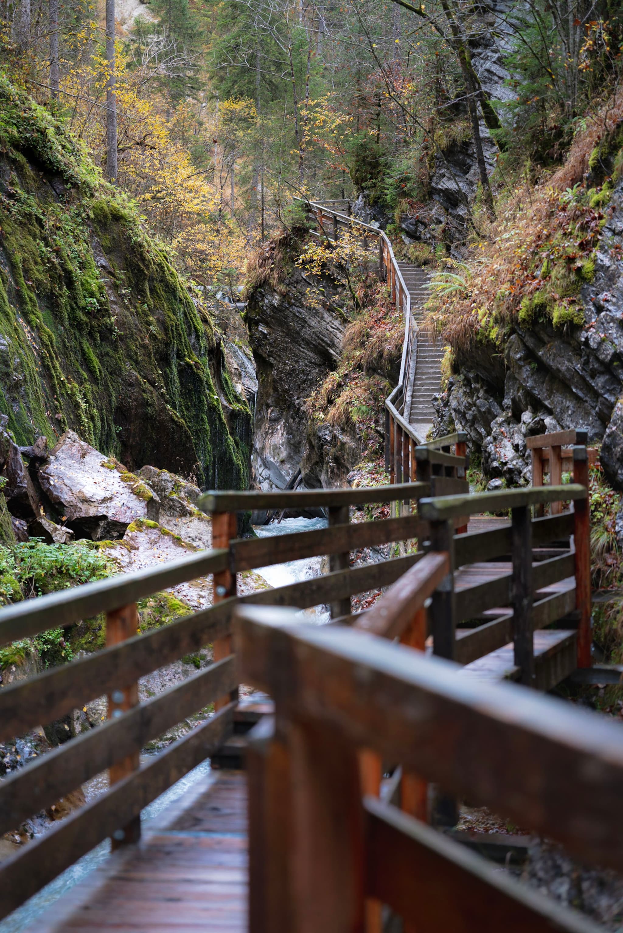 A wooden walkway winds through a lush, narrow gorge with moss-covered rocks and autumn foliage