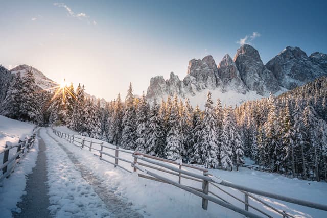 Snow-covered path with wooden fence leading through a forest of frosted trees toward jagged mountains at sunrise