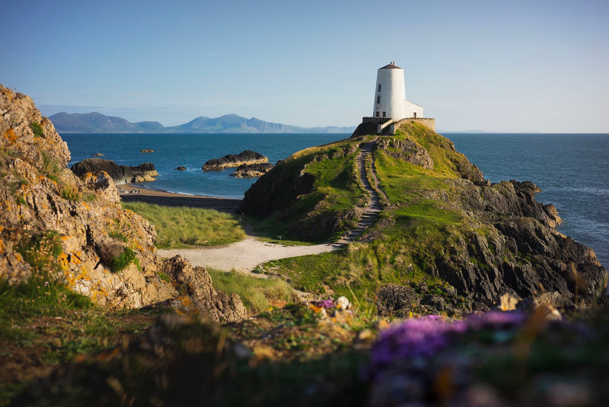 A white lighthouse stands on a rocky hill overlooking the sea, with a winding path leading up to it. The foreground features grassy areas and wildflowers, and mountains are visible in the distance under a clear blue sky