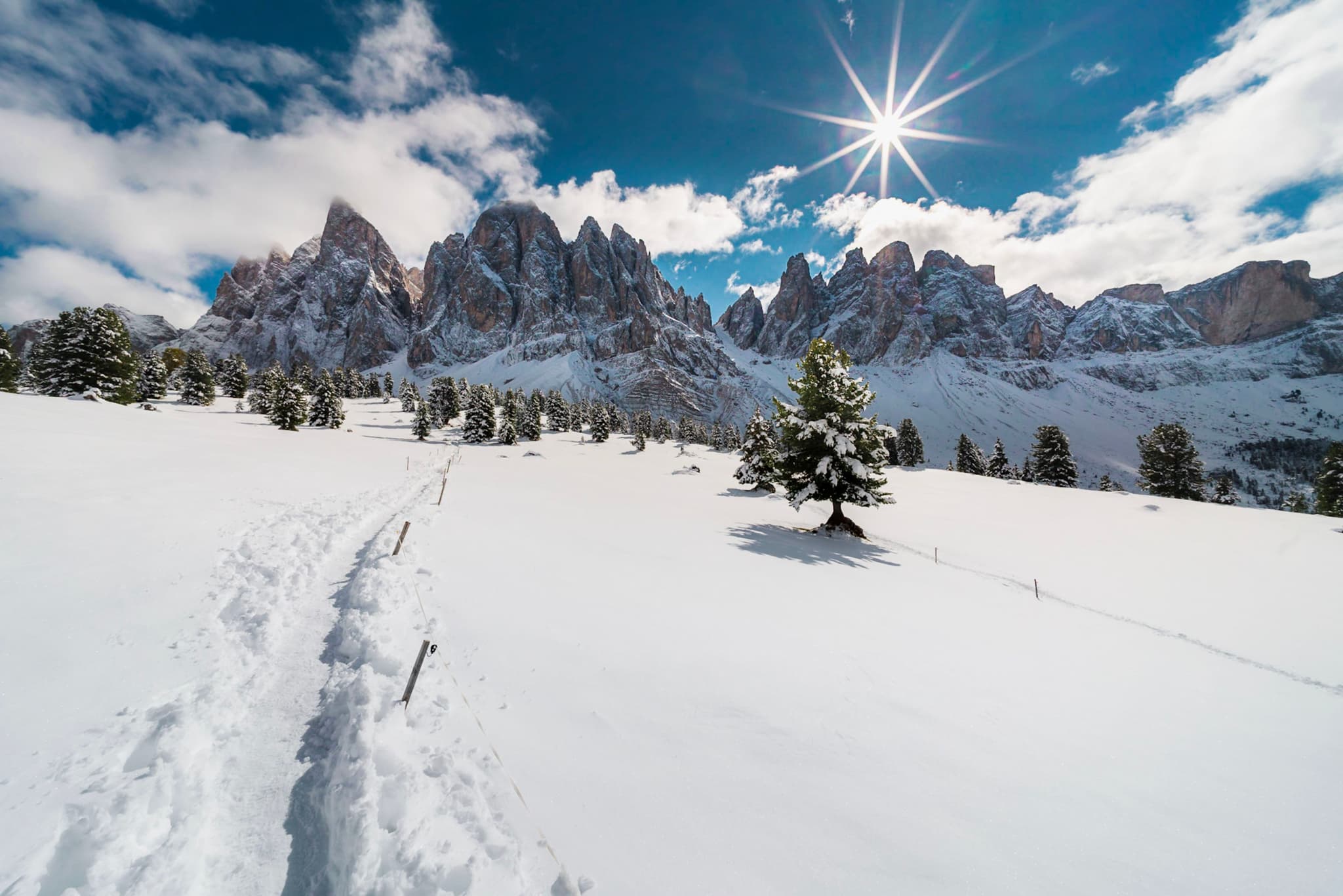 Sunburst over jagged snow-covered mountains with a single tree and ski tracks leading into the distance