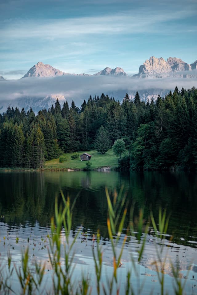 A serene lake reflects a lush forest and distant mountains, with a small cabin nestled among the trees