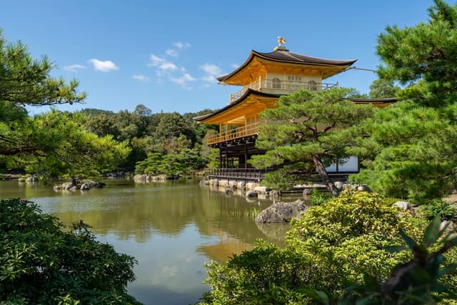 Golden-roofed Japanese temple beside a reflective garden pond surrounded by lush green trees under a clear blue sky