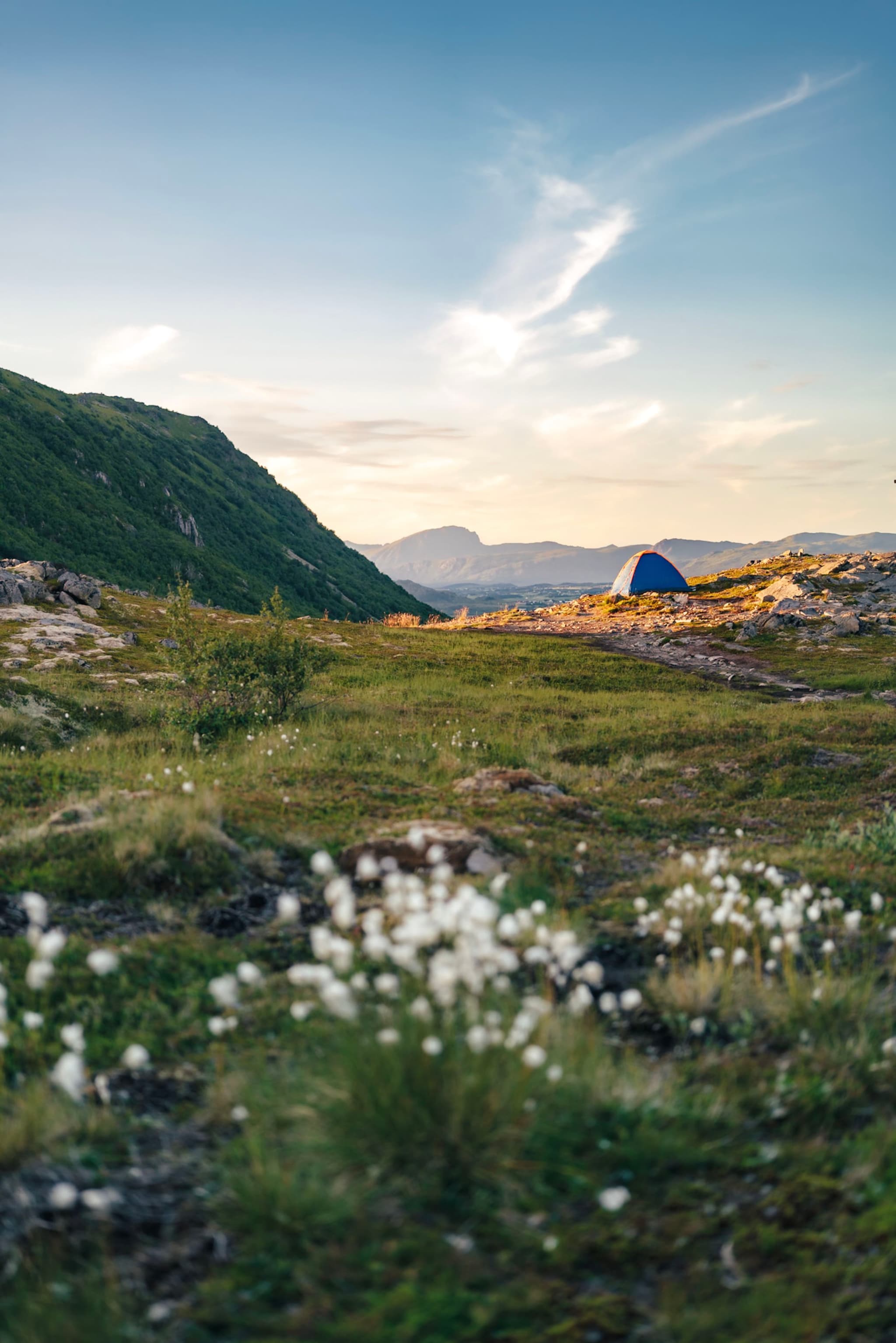 A scenic landscape with a grassy field, wildflowers, a distant blue tent, and mountains under a partly cloudy sky