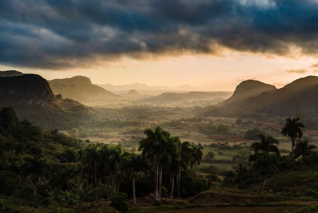 Sunrise light filtering through mist in a lush valley surrounded by dark silhouetted mountains and scattered palm trees under dramatic clouds