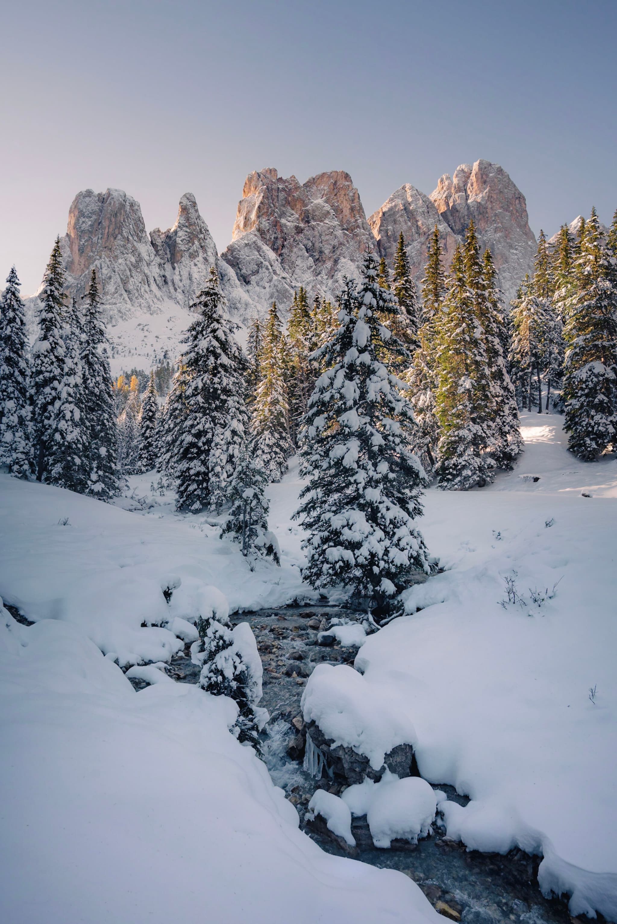 Snow-covered evergreen forest surrounding a narrow stream with rugged mountain peaks glowing in soft light in the background