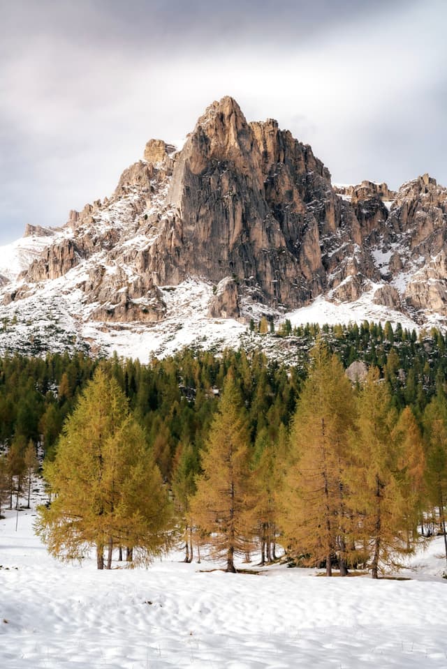 A rugged mountain peak rises above a forest of evergreen trees, with snow covering the ground and parts of the mountain