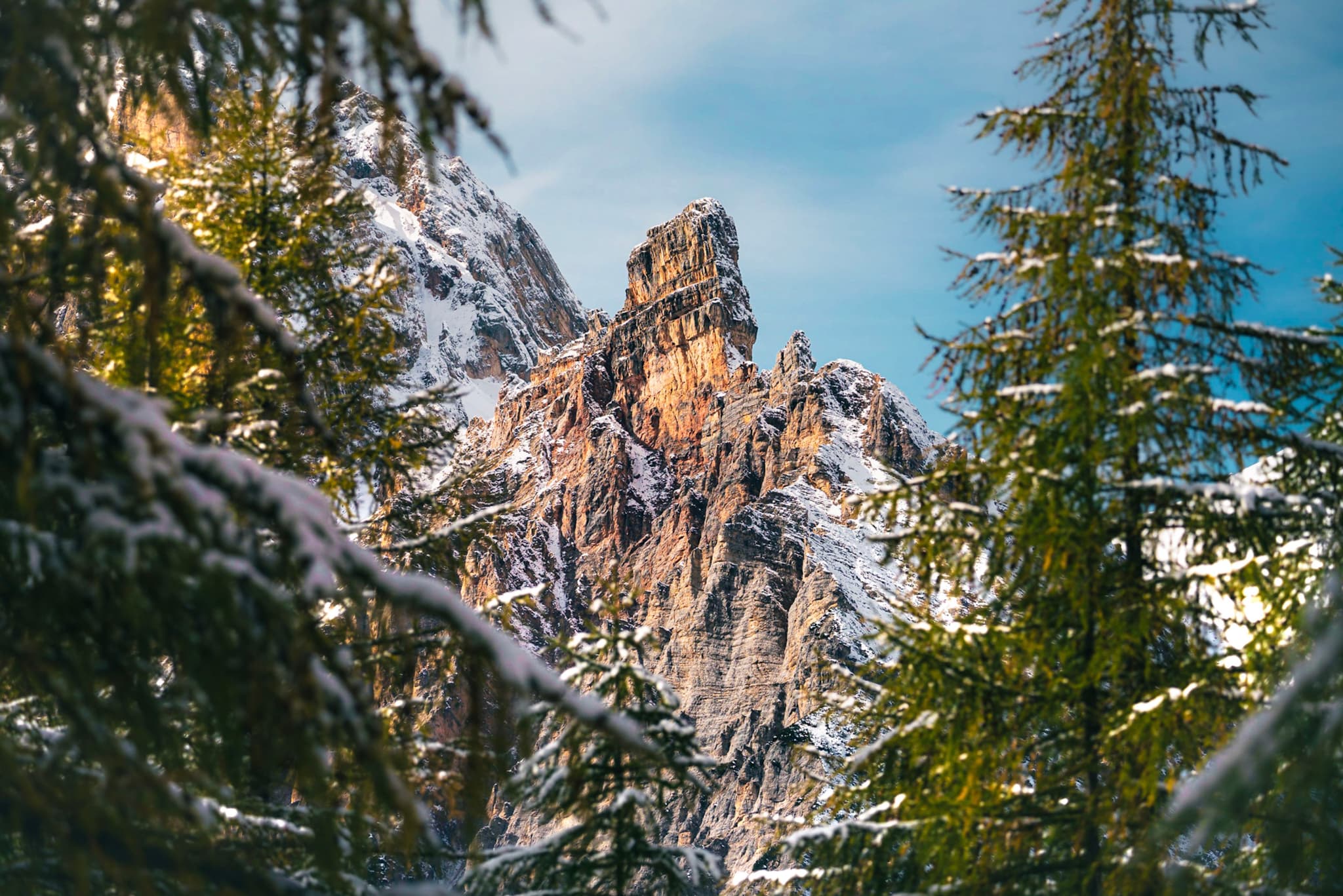 Jagged alpine peak rising behind snow-dusted evergreen trees under a clear blue sky