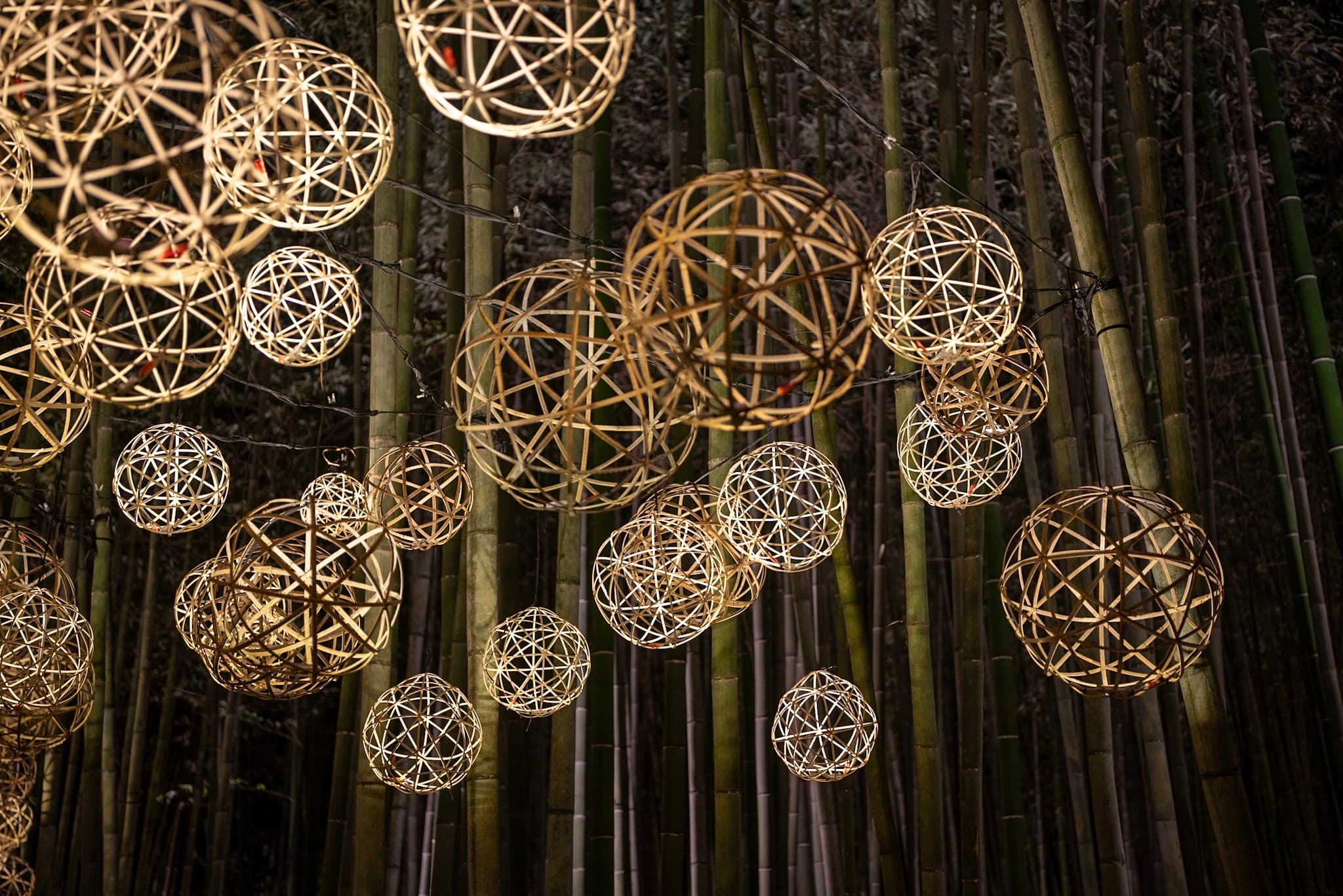 Geometric woven lantern spheres hanging among tall bamboo stalks at night