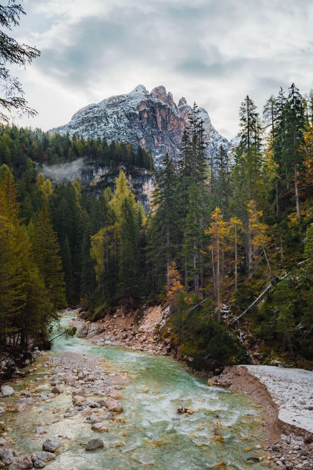 Rocky alpine river winding through dense evergreen forest toward a snow-dusted mountain peak under cloudy skies