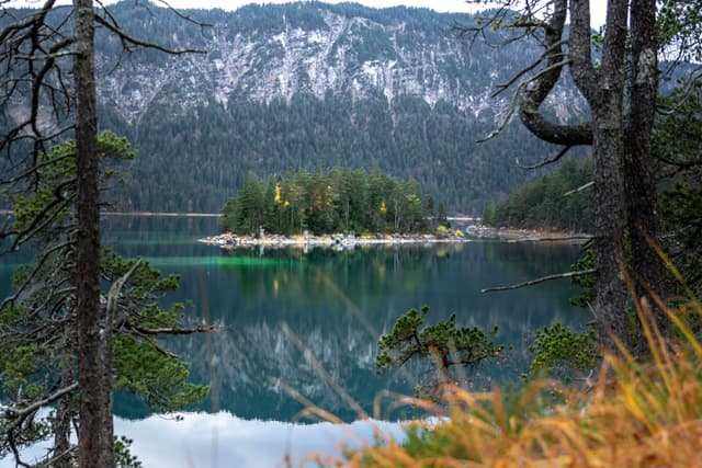 A serene lake with a small, tree-covered island in the center, surrounded by forested mountains. The water reflects the landscape, and the scene is framed by trees in the foreground