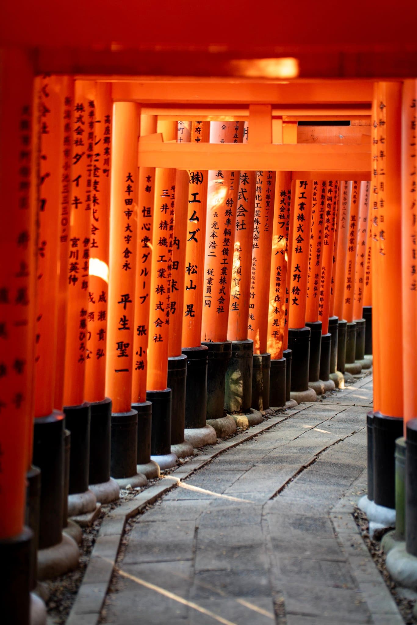 Curving stone pathway passing beneath rows of vermilion torii gates inscribed with Japanese characters
