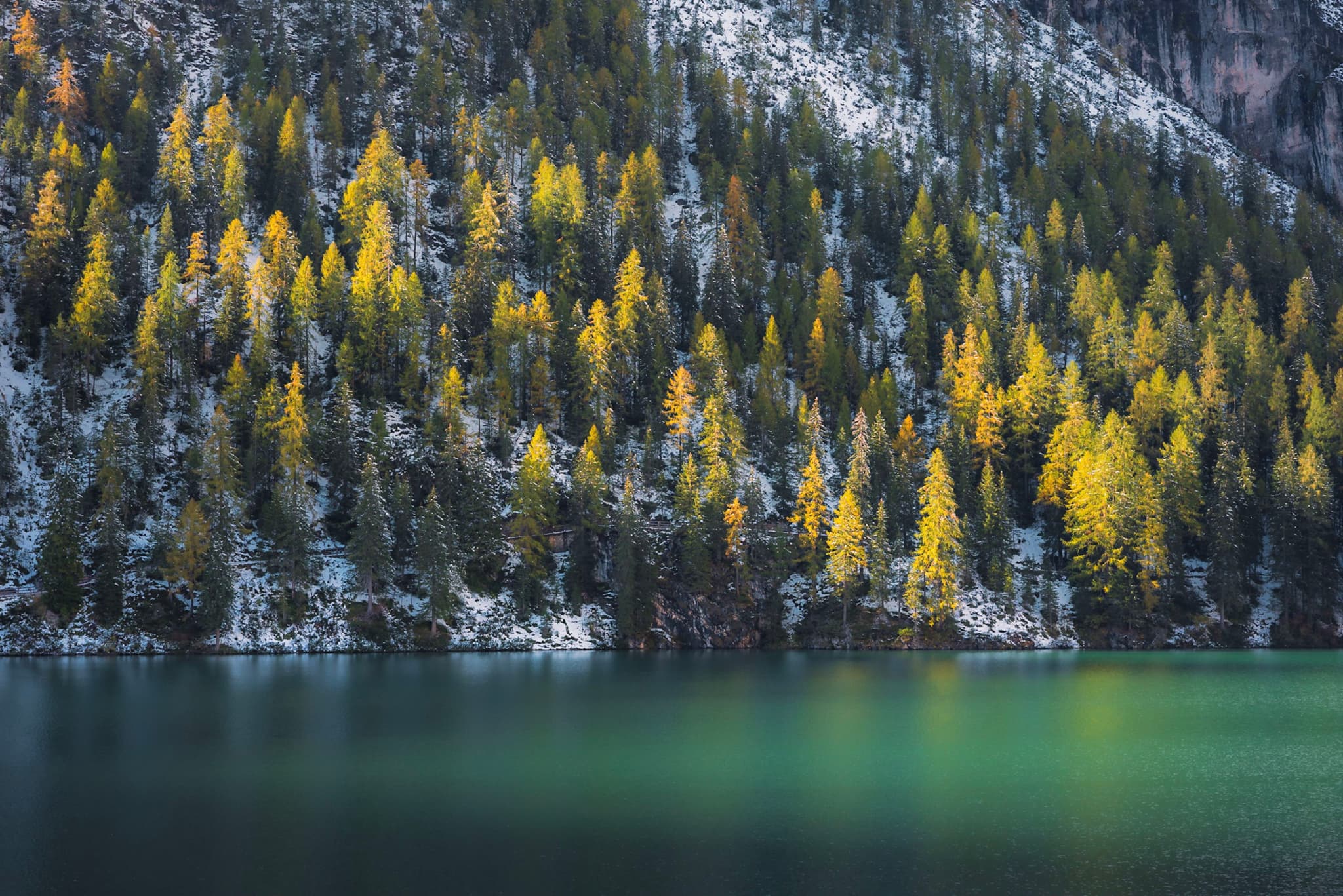Emerald green lake beneath a dense forested mountainside with autumn-yellow conifer trees