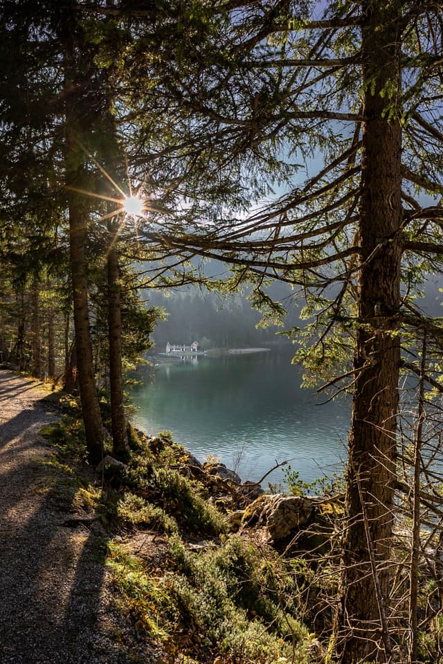 A serene lakeside scene with sunlight filtering through tall trees, casting shadows on a forest path. The calm water reflects the surrounding landscape