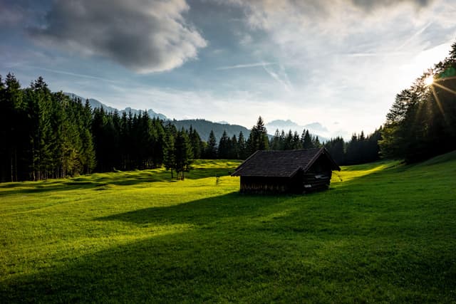 Small dark cabin standing in a sunlit green meadow bordered by dense evergreen forest and distant mountains under a partly cloudy sky with low sun rays