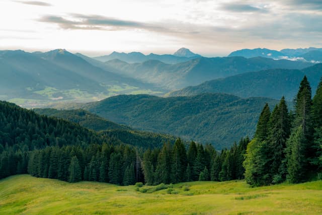 Layered mountain ranges with sunbeams breaking through clouds, illuminating green valleys and dense evergreen trees in the foreground