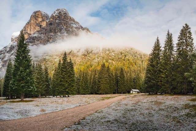 Dirt road leading through frosty meadow toward pine trees at the base of a misty sunlit mountain peak