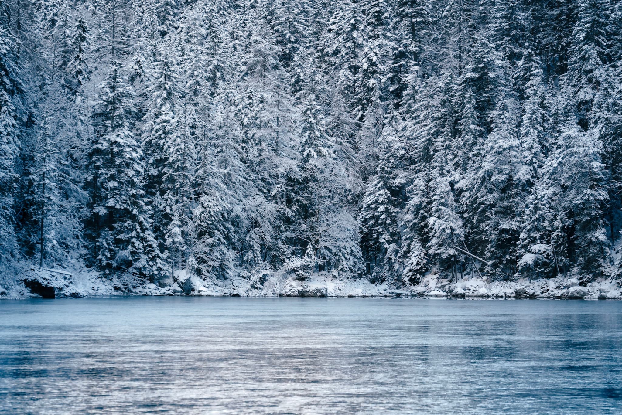 A serene winter landscape with a forest of snow-covered trees reflected in a calm, icy body of water