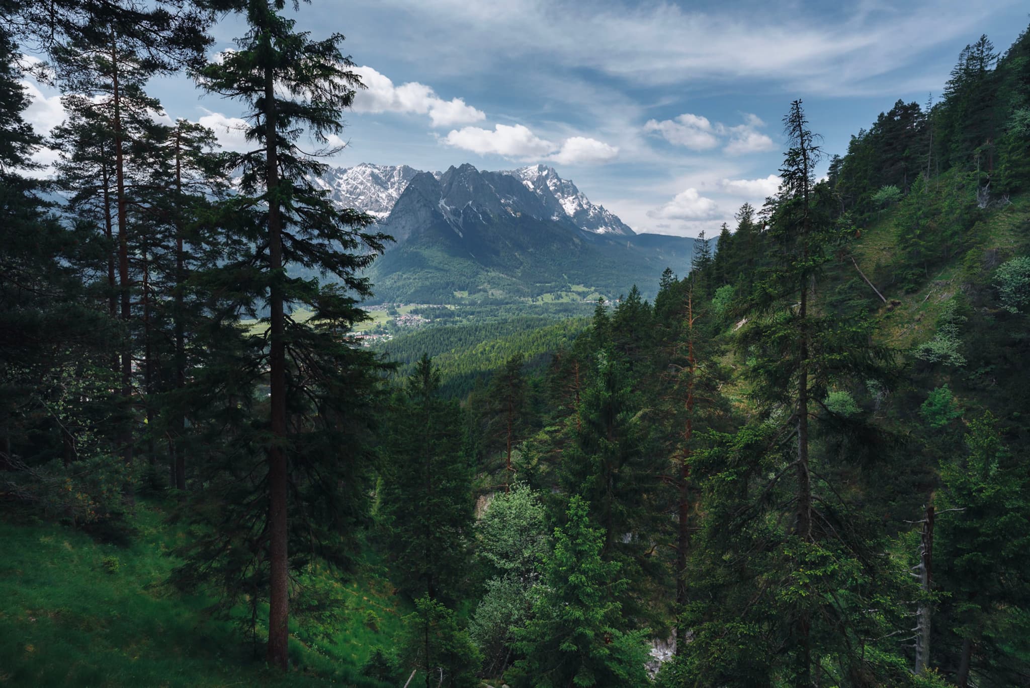 Snow-capped mountains rising beyond a densely wooded green valley under a partly cloudy sky