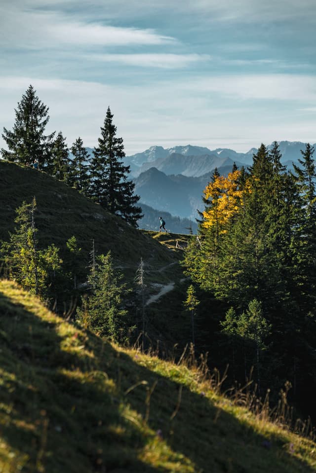 Hiker on a winding mountain trail between evergreen trees with layered alpine peaks in the background