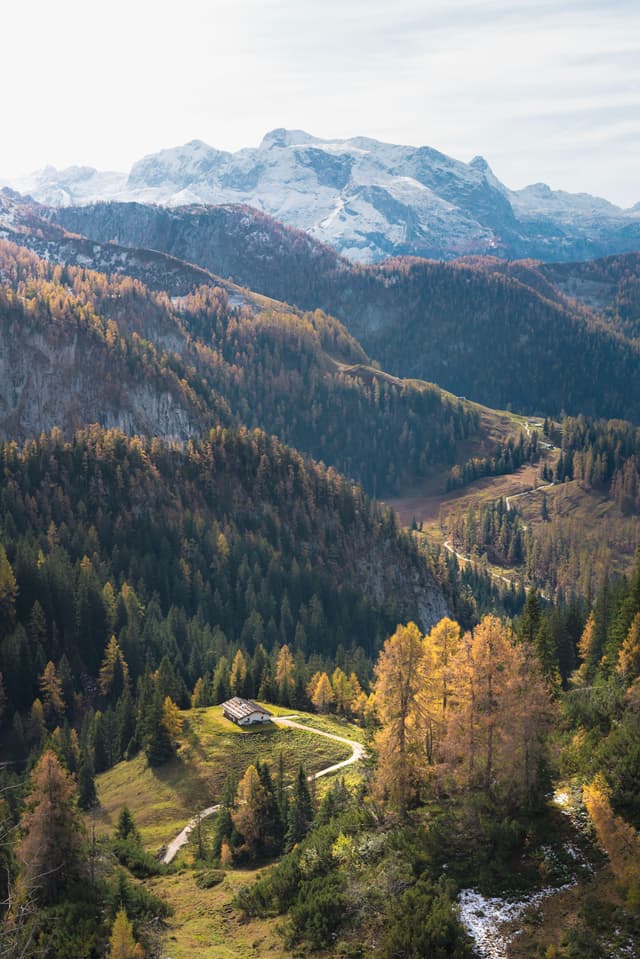 Sunlit alpine valley with winding road and isolated cabin surrounded by forested mountains and distant snowy peaks