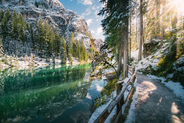 Snow-dusted forest trail running beside a clear turquoise mountain lake in bright winter sunlight