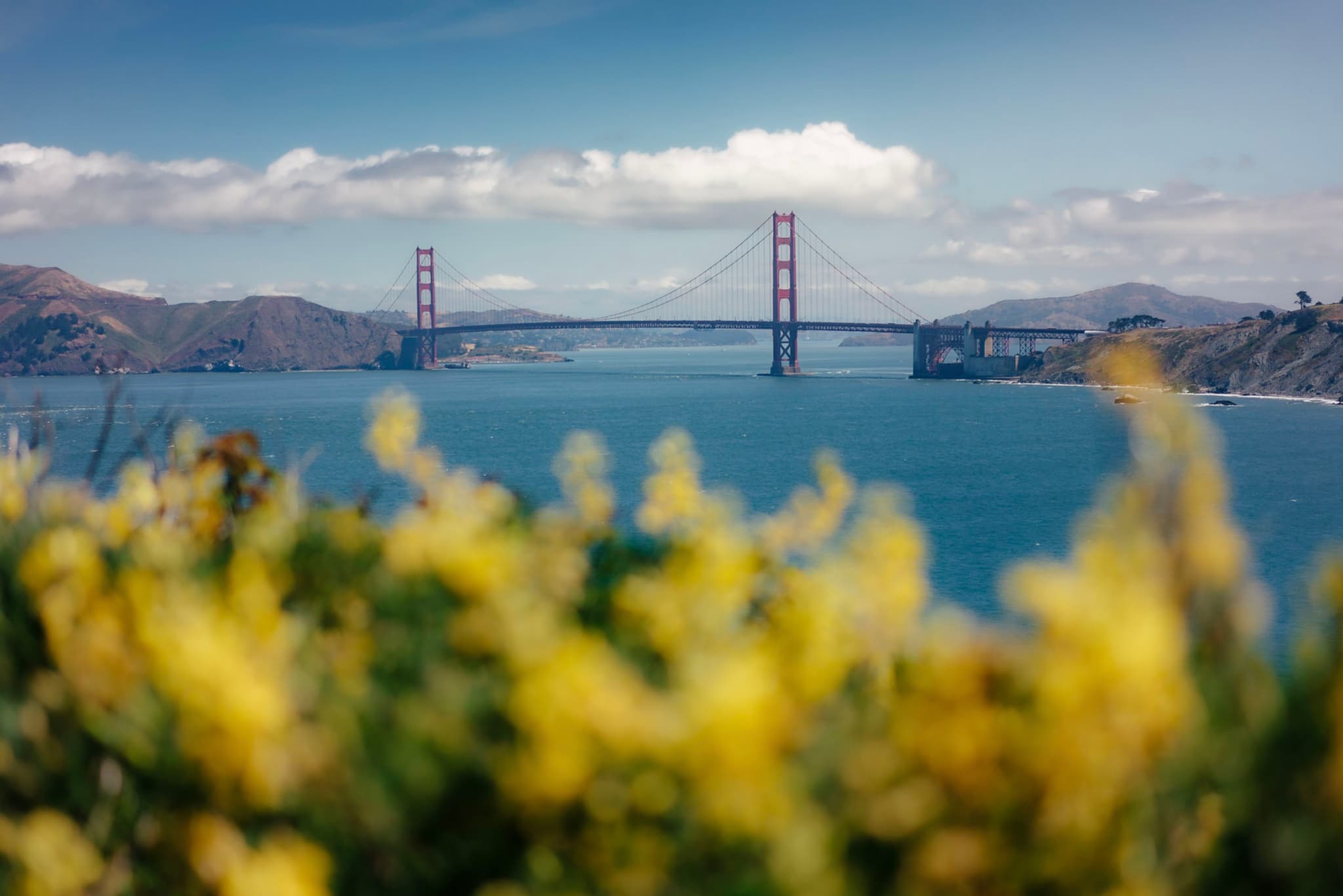 Golden Gate Bridge spanning blue water with blurred yellow flowers in the foreground and hills under a partly cloudy sky